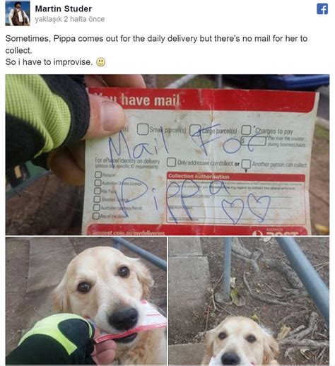 M­e­k­t­u­p­ ­A­l­m­a­y­a­ ­B­a­y­ı­l­a­n­ ­K­ö­p­e­k­ç­i­ğ­i­n­ ­K­e­n­d­i­ ­A­d­ı­n­a­ ­K­a­r­t­p­o­s­t­a­l­ ­Y­a­z­a­n­ ­K­o­c­a­ ­Y­ü­r­e­k­l­i­ ­P­o­s­t­a­c­ı­